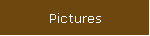 Pictures