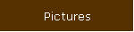 Pictures